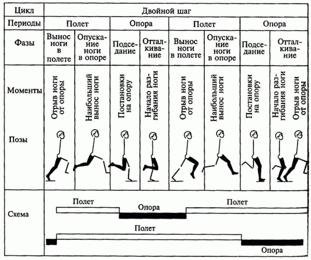 Названия движений человека. Периоды и фазы бега. Основа техники бега фазы. Периоды и фазы движений в беге. Перечислите периоды одного цикла в беге.