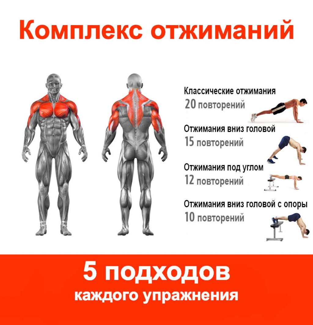 упражнения на мышцы груди видео фото 61