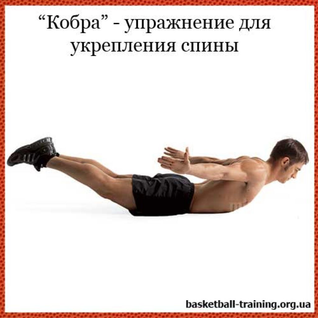 Упражнения для укрепления позвоночника. Укрепление спины. Укрепление мышц спины. Упражнения укрепляющие мышцы спины. Упражнения для мышц спины в домашних условиях.