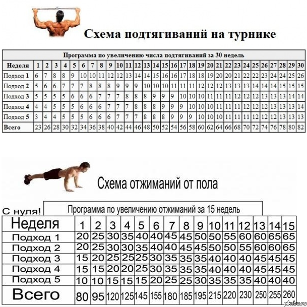 Схема подтягиваний с нуля