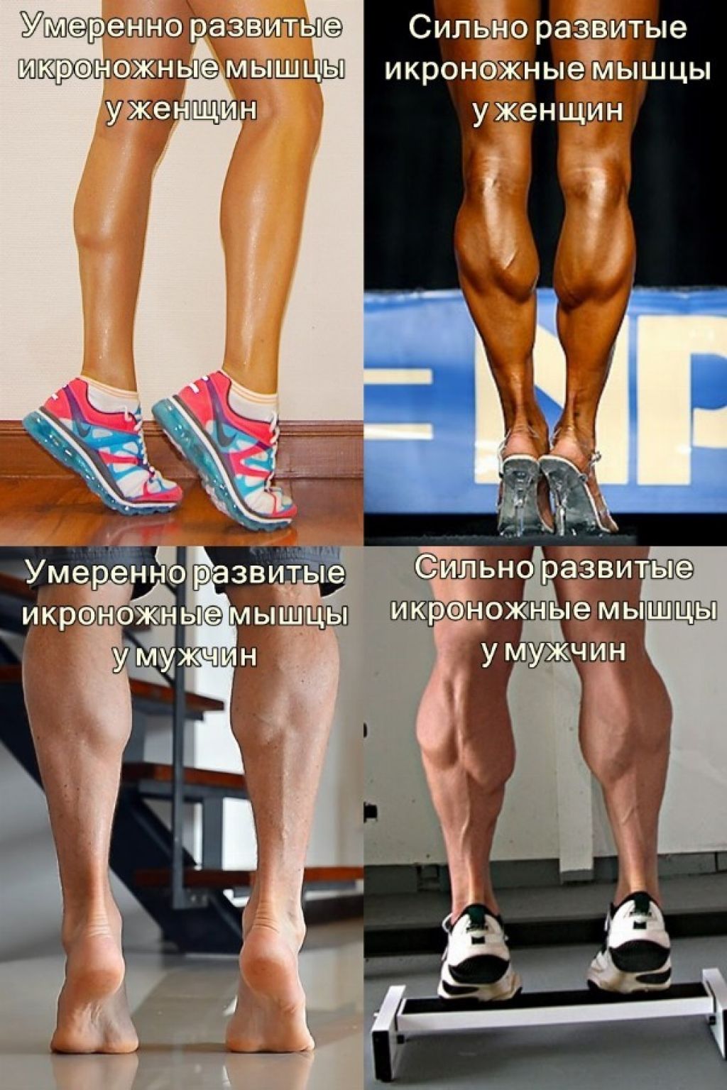 Сильные икры ног. Тренировка икроножных мышц. Упражнения для икронодныхмышц. Упражнения для икроножных мышц. Упражнения на икры ног.