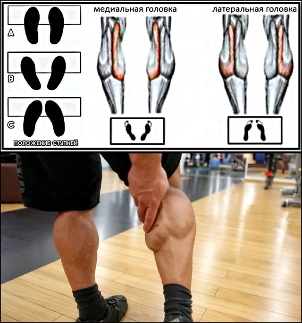 Тренировка на ноги для мужчин. Как прокачать мышцы ног. Упражнения для икронодныхмышц. Упражнения для икроножных. Тренировка икроножных мышц.