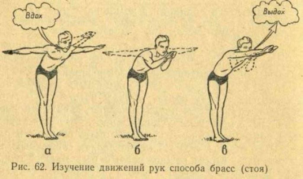 Технику работы ног способом брасс. Техника движения ног при плавании брассом. Движение рук при плавании брассом. Брасс движение руками. Техника плавания брассом руки.