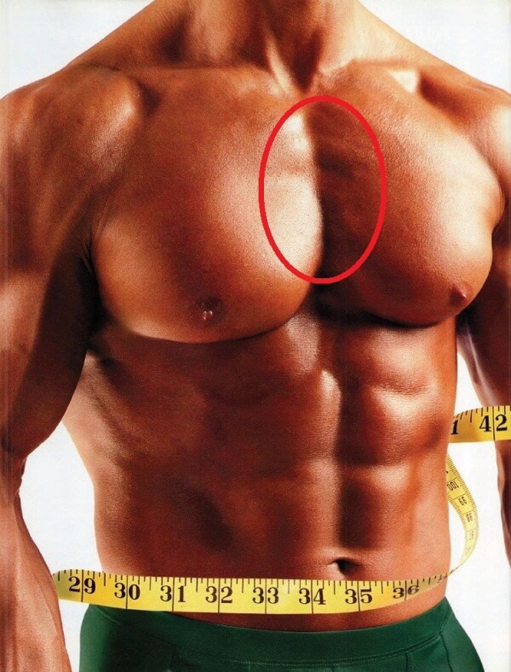 накачиваем мышцы груди для мужчин фото 113