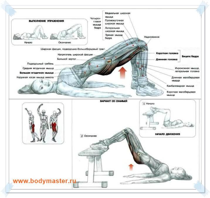 Ягодичный мостик план