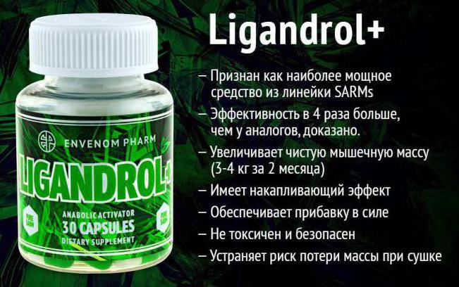 Ligandrol (Лигандрол, ( LGD-4033) — обзор препарата, как принимать и ...