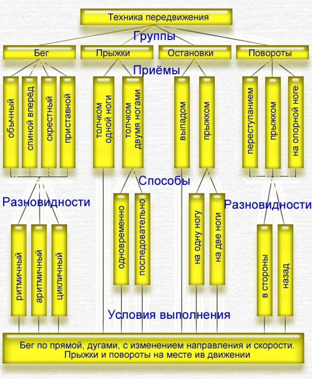 виды методы и приемы запечатлевающей фотографии