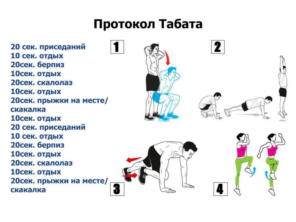 Лучшее упражнение для сжигания. Табата тренинг комплекс упражнений. Табата схема тренировок. Комплекс упражнений Табата для начинающих. Комплекс упражнений Табата для начинающих мужчин.