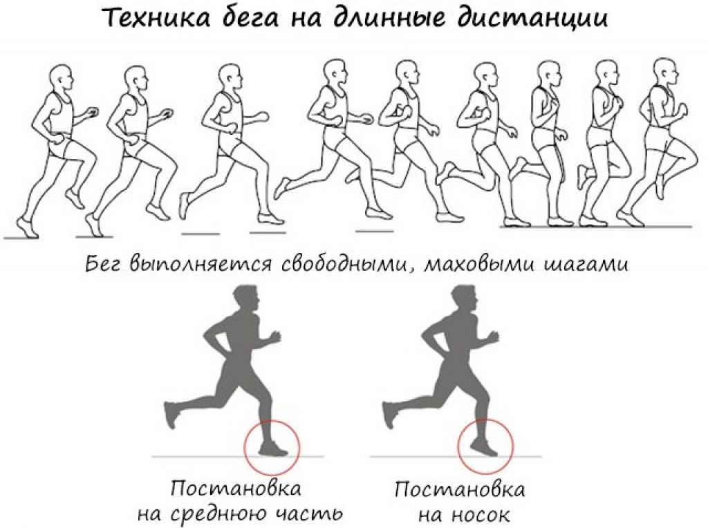 Фартлек программа тренировок для бега схема бега