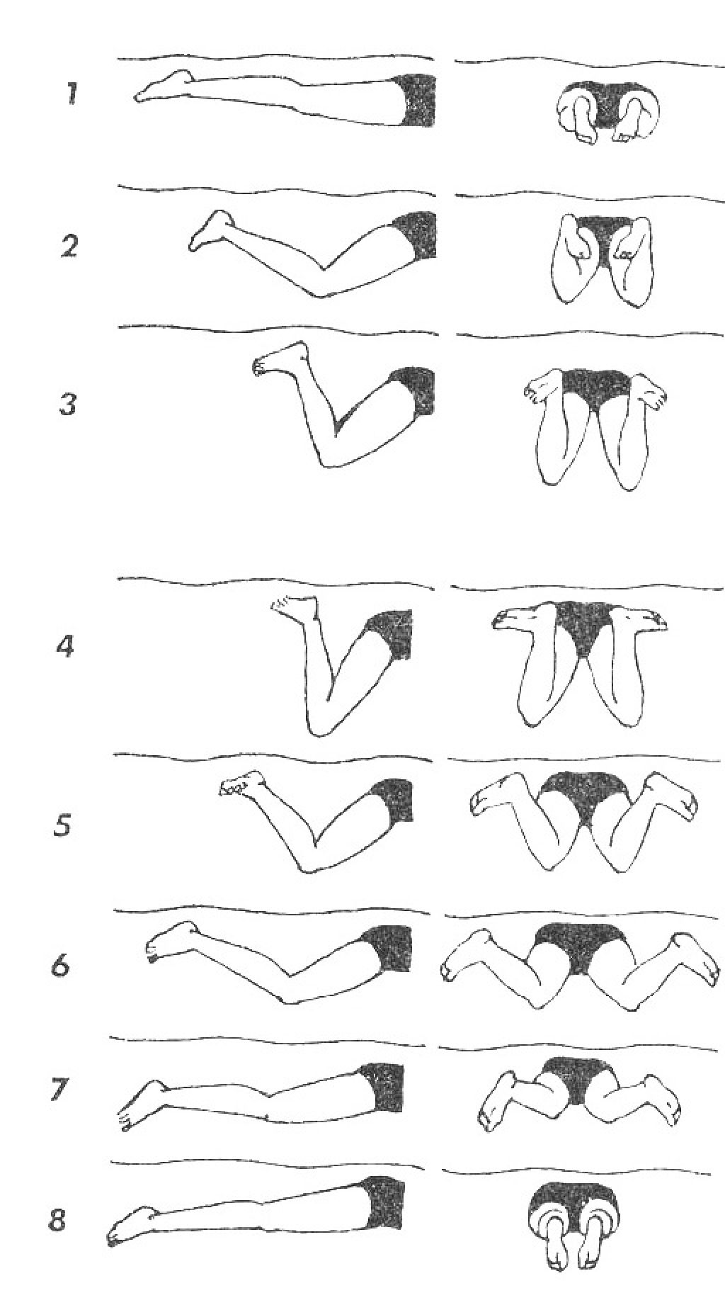 Плавание ногами. Брасс плавание движения ногами. Брасс ноги движения техника. Техника плавания брассом. Техника плавания брасс схема.