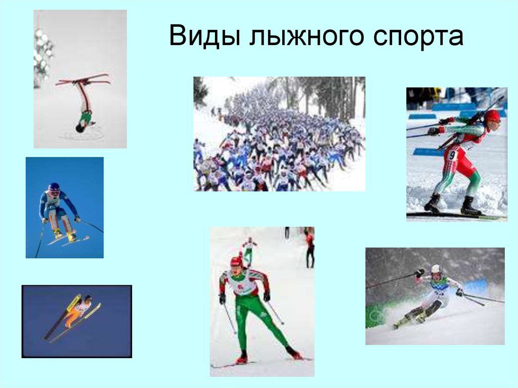 Какие виды спорта относятся к лыжному спорту. Виды спорта на лыжах. Все виды лыжного спорта. Вид спорта связанный с лыжами. Вид спорта лыжи коротко.