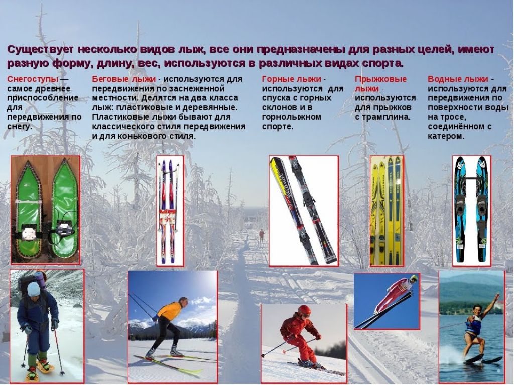 Какие виды спорта относятся к лыжному спорту. Виды лыж. Лыжи и их названия. Назовите разновидности лыж. Лыжи горные по видам.