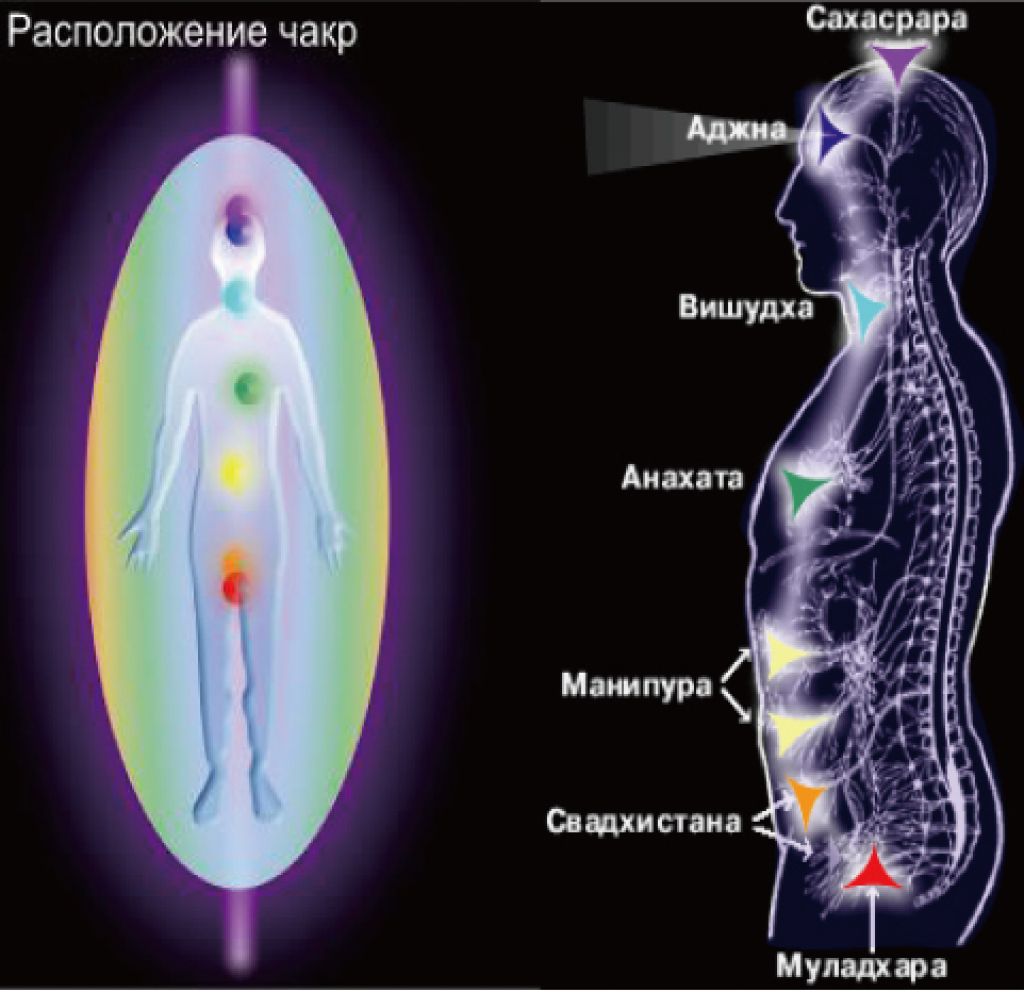 Расположение чакр. Дисбаланс в чакрах. Расположение чакр на теле человека фото. Открытие чакр у остеопата что это.