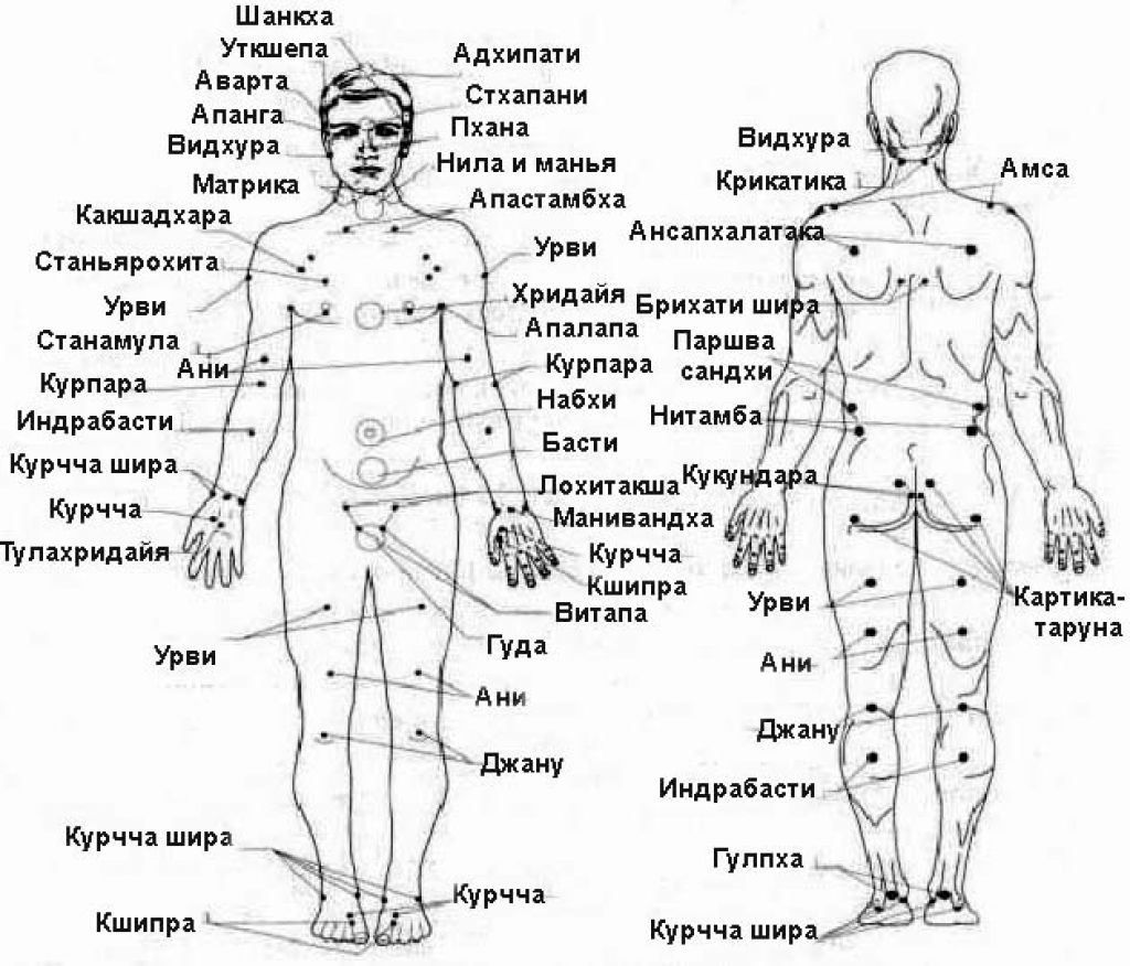 Самые места человека. Марма точки на теле человека с пояснением. Акупунктурные точки на теле человека. Акупунктура меридианы тела человека схема. Акупунктурные точки на теле человека схема.