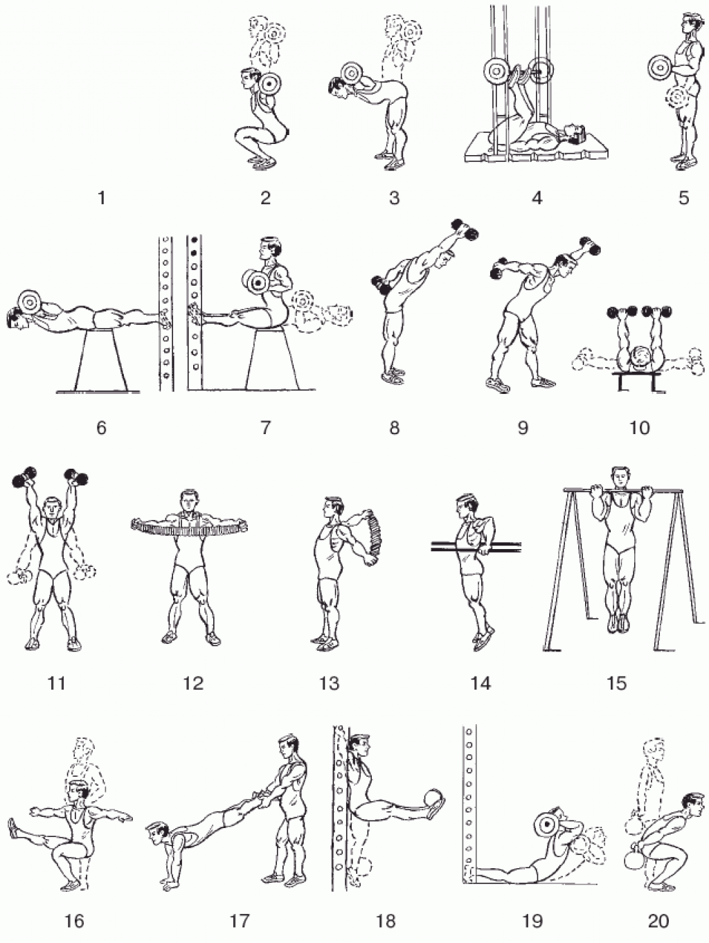 Упр с гантелями. Комплекс упражнений с гантелями (10-12 упражнений). Комплекс силовых упражнений с гантелями. Гантельная гимнастика комплекс 1/ для начинающих. Упражнения с гантелями на разные группы мышц.