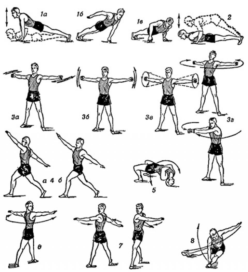Упражнения 1а. Комплекс упражнений для развития силы мышц плечевого пояса. Упражнения для укрепления верхнего плечевого пояса. Комплекс упражнений для развития мышц верхнего плечевого пояса. Упражнения на развития силы мышц рук ног туловища.