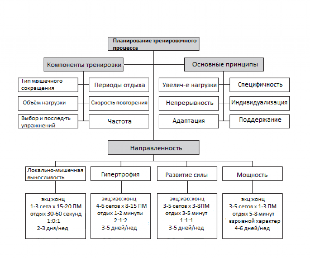 Принципы тренировки. Принципы тренировочного силовой. Принципы физической тренировки схема. Принципы процесса спортивной тренировки. Принципы построения силовой тренировки.