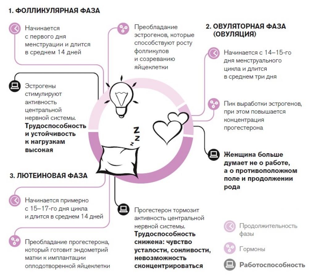 Нарушение гормонального цикла. Гормоны от фазы цикла. Менструальный цикл схема. Цикл гормонов у женщин. Схема менструационного цикла с фазами и гормонами.