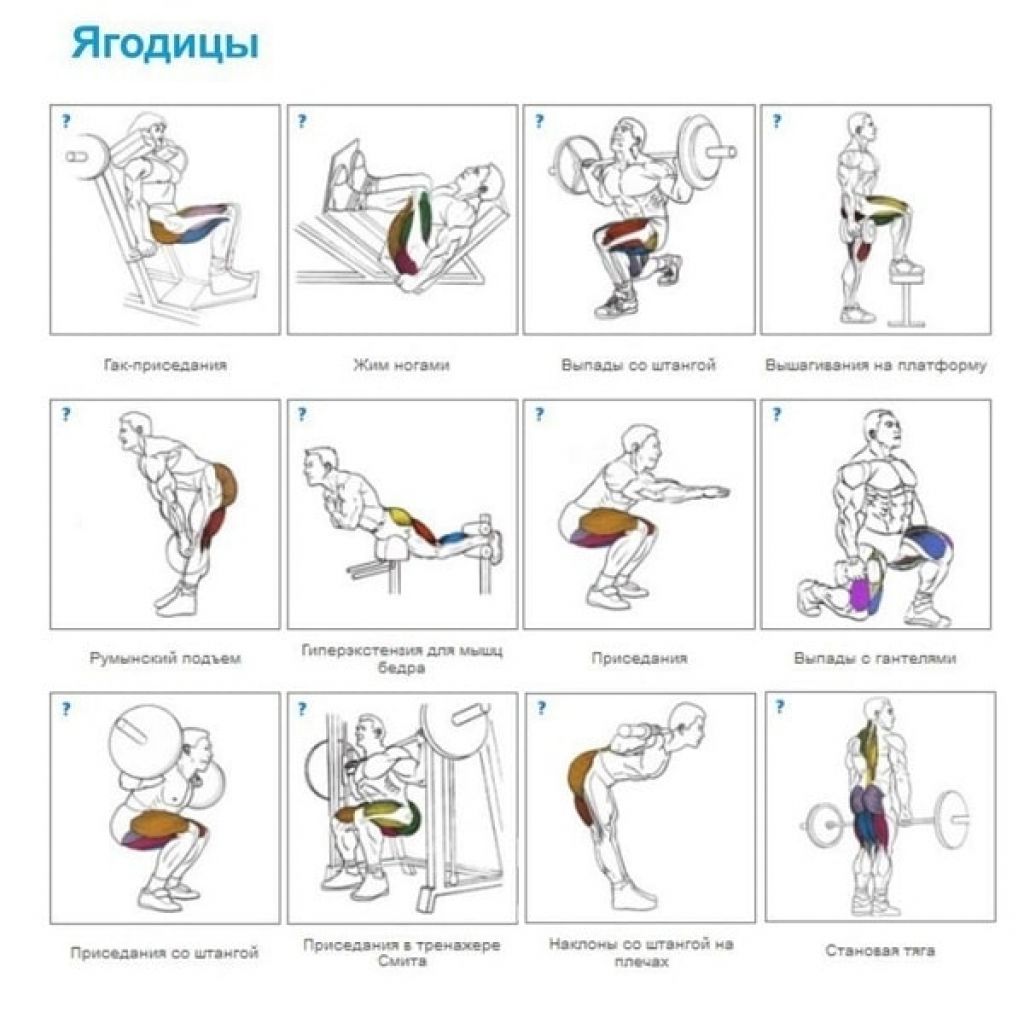 Тренировка на ноги в тренажерном зале. План тренировки в тренажерном зале для женщин на ягодицы. Базовые упражнения на ноги в тренажерном зале. Тренировка на ноги и ягодицы в тренажерном зале для мужчин. Базовые упражнения на ноги в тренажерном зале для мужчин.