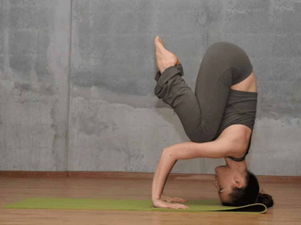 Drnisha Gupta Yoga