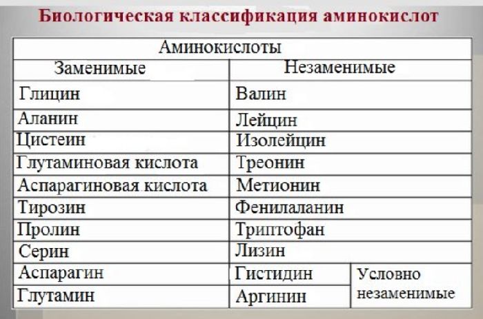 Аминокислоты в продуктах питания: таблица, какие содержат, норма ...