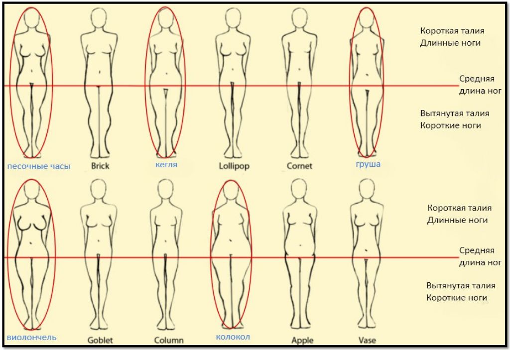 Насколько длинный. Разновидности женских ног. Строение женских бедер. Типы строения женских ног. Форма ног.