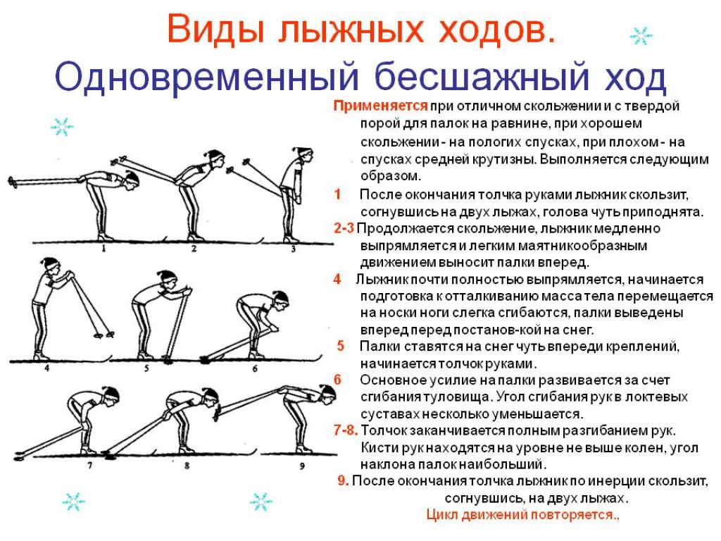 Характеристика лыжных ходов презентация