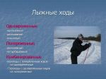 Какой лыжный ход самый скоростной ответ. Смотреть фото Какой лыжный ход самый скоростной ответ. Смотреть картинку Какой лыжный ход самый скоростной ответ. Картинка про Какой лыжный ход самый скоростной ответ. Фото Какой лыжный ход самый скоростной ответ