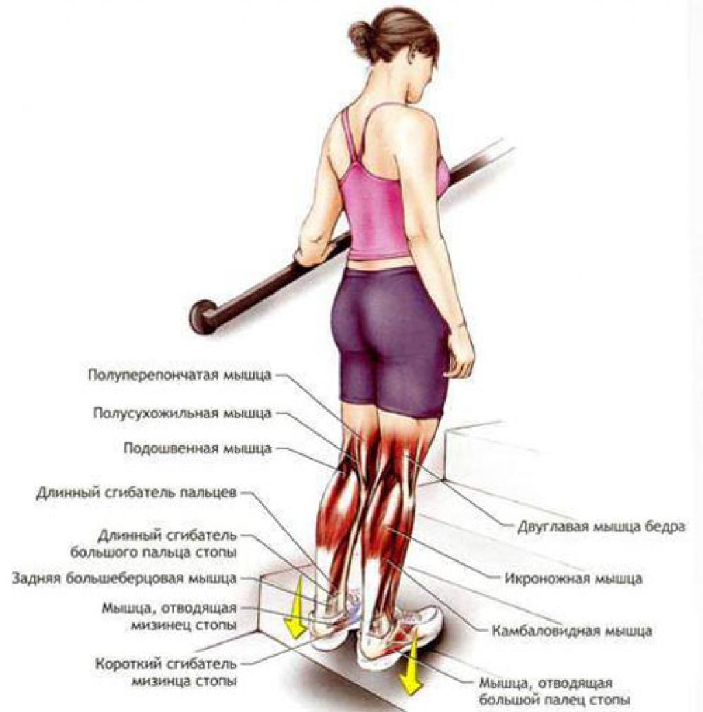 Почему забиваются ноги. Упражнения для малой берцовой мышцы. Упражнения на икроножные и камбаловидные мышцы. Упражнения для камбаловидной и икроножной мышц. Упражнения на растяжение камбаловидной мышцы.