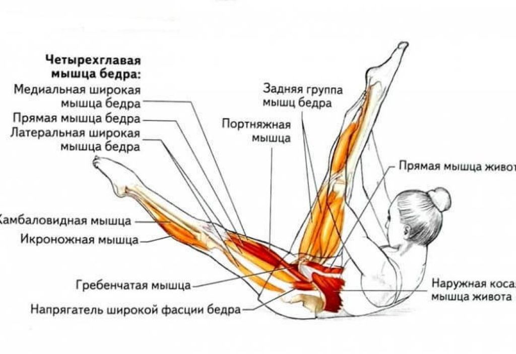 Куда потянула. Упражнения для растяжения задней части бедра. Напрягатель широкой фасции бедра растяжка. Растяжка передней мышцы бед. Растяжка мышц разгибателей бедра.