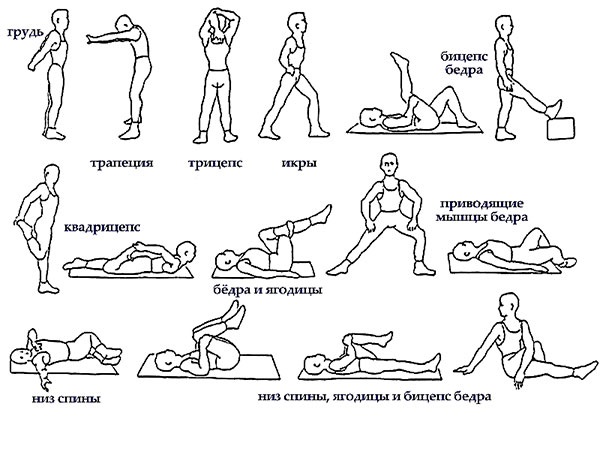 Для разминки из за парт поднимаемся на старт