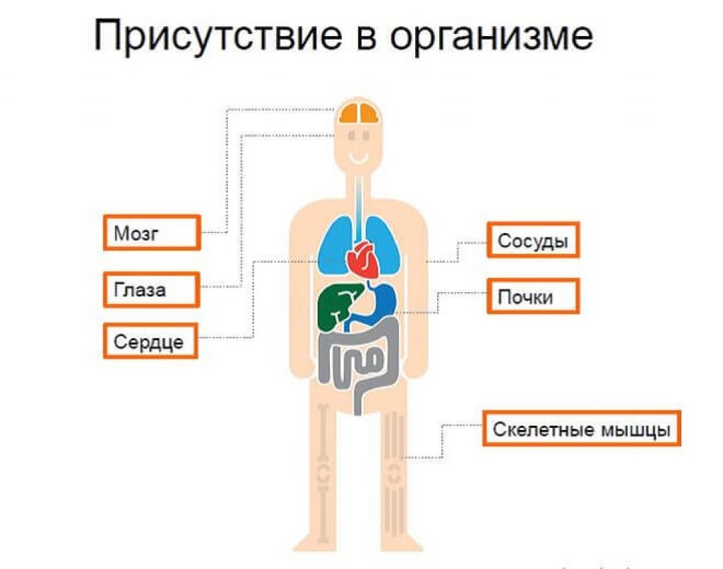 Таурин свойства для организма