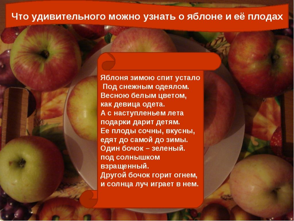 В какое время едят яблоки. Интересное о яблоках. Интересные факты о яблоках. Польза яблок для детей. Полезные свойства яблок.