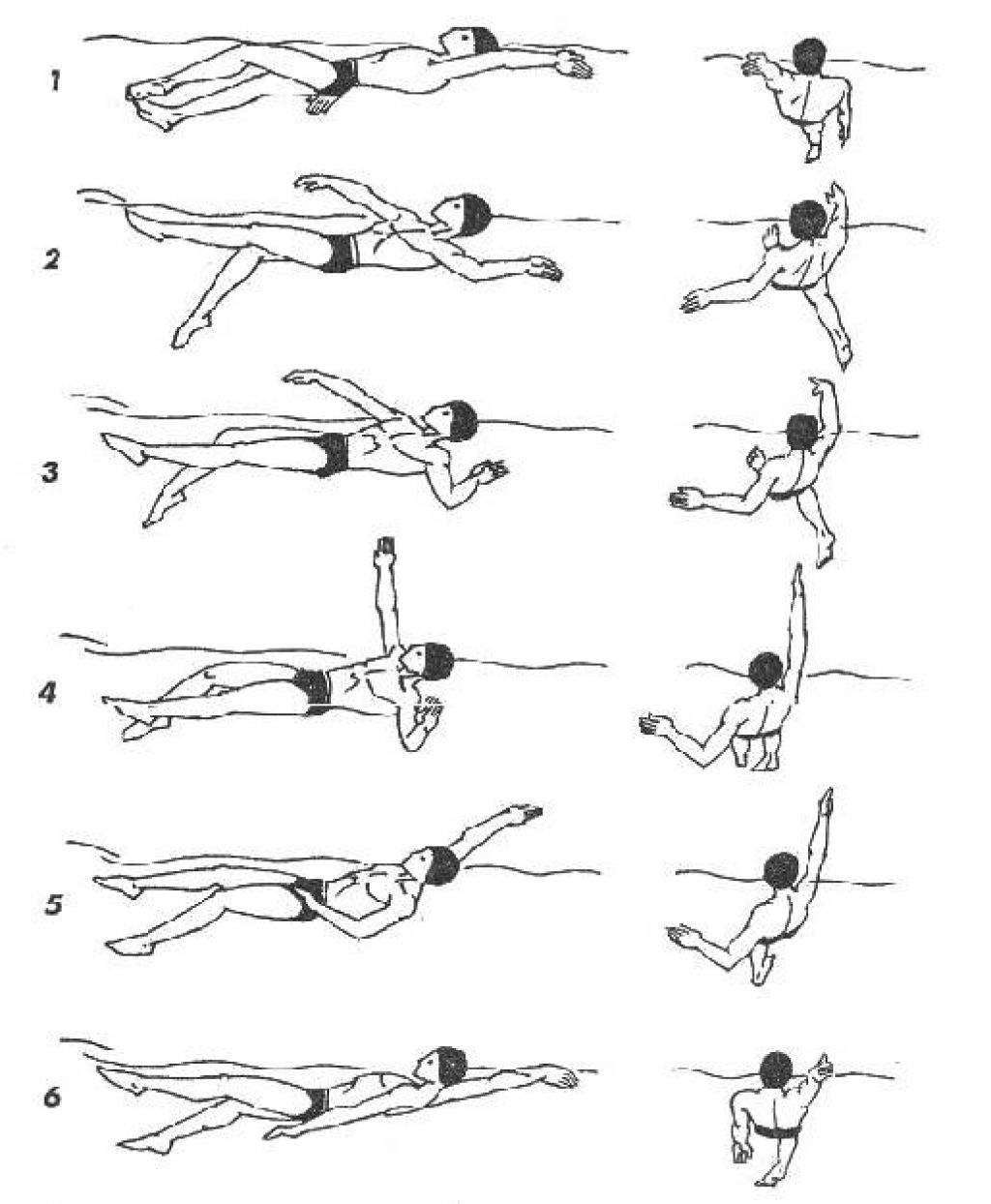 Кроль на спине техника плавания