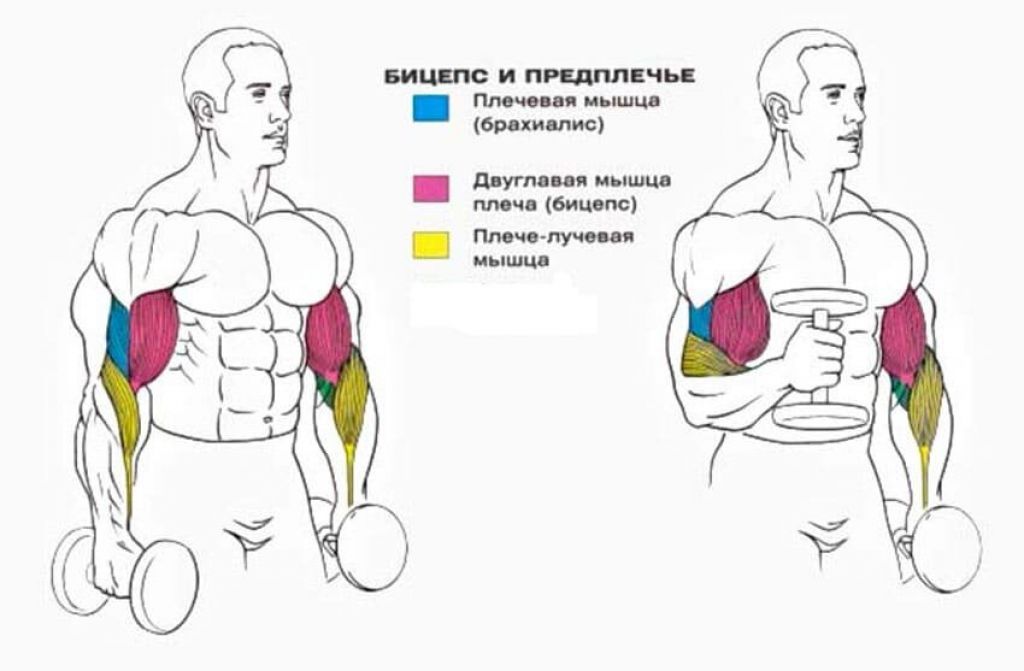 Молоточки упражнение