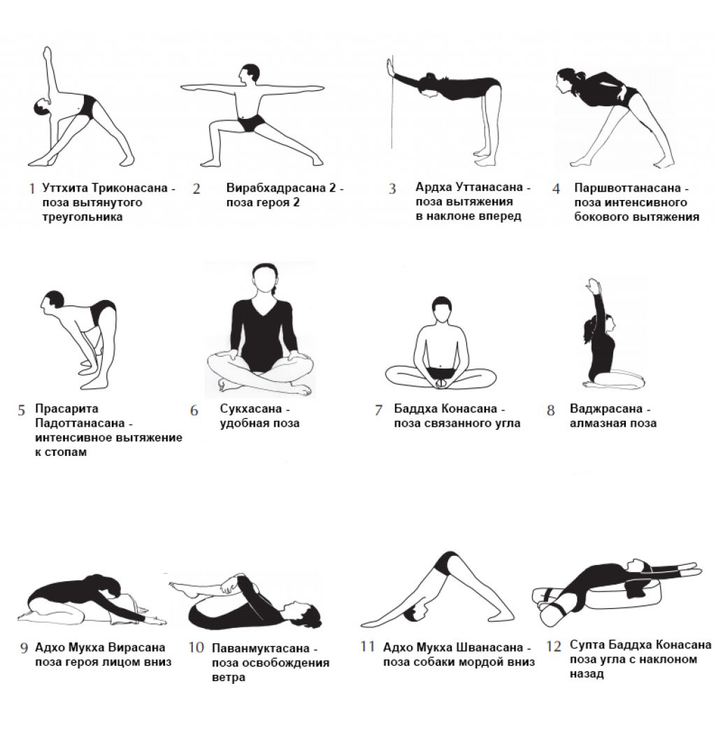 Асаны йоги с названиями. Йога Айенгара основные асаны. Йога для начинающих основные упражнения. Основные асаны Айенгара для начинающих. Айенгар йога комплекс для начинающих.