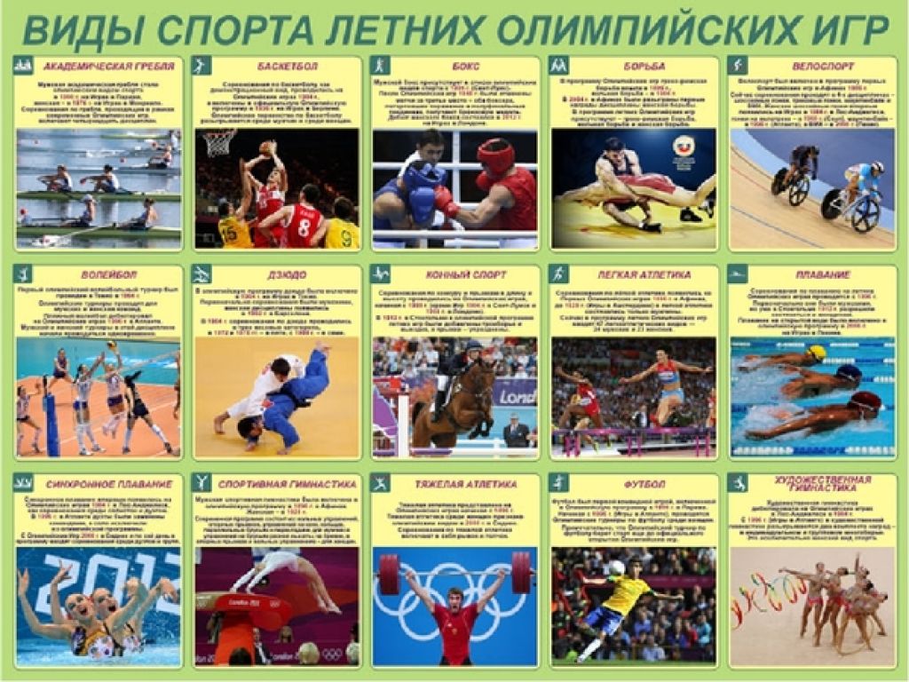 Летние виды спорта картинки с названиями