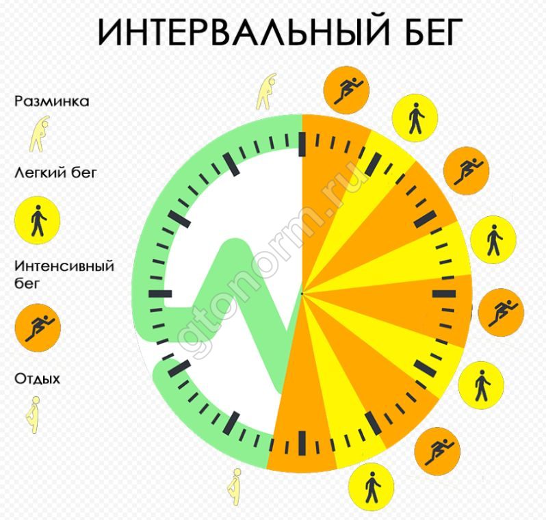 Интервальный бег для сжигания жира схема для новичков на улице