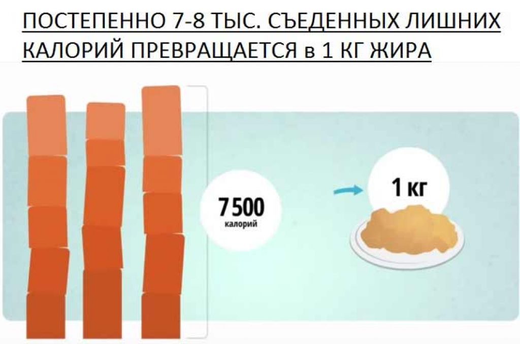 1 кг сколько калорий в человеке жира