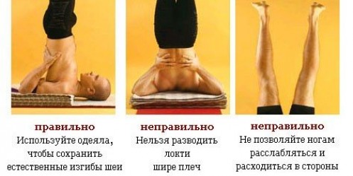 Подготовительные упражнения йоги