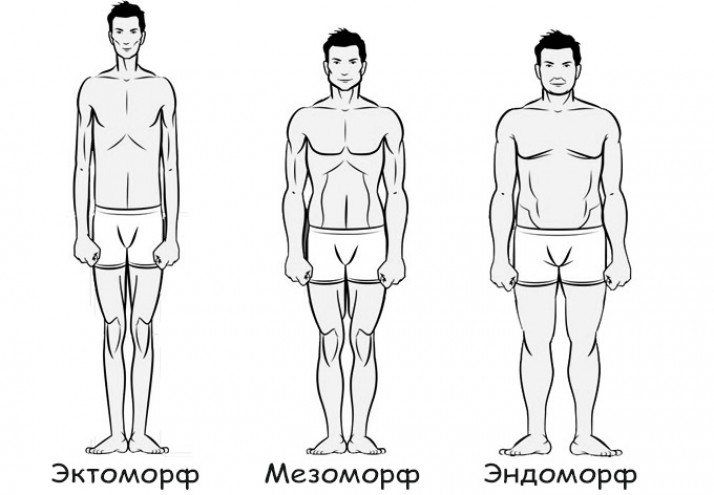 Как правильно питаться и тренироваться, чтобы похудеть — полное руководство