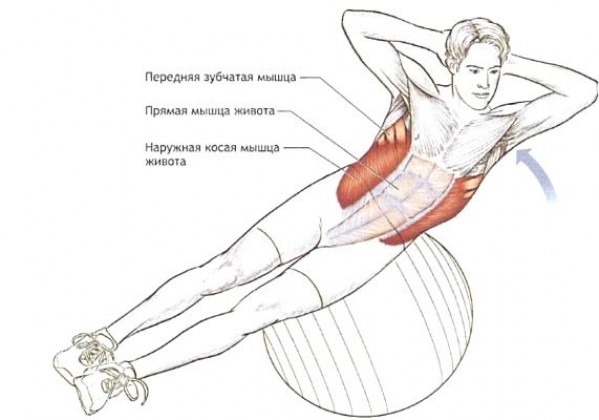 Техника выполнения упражнений для пресса