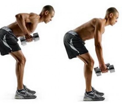 Какие мускулы задействованы в тренировке?