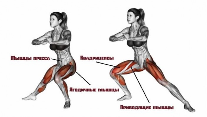 Строение ягодичных мышц и воздействие на них упражнения
