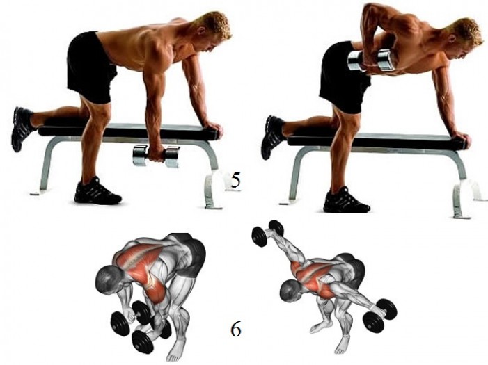 Топ упражнений с гантелями для спины