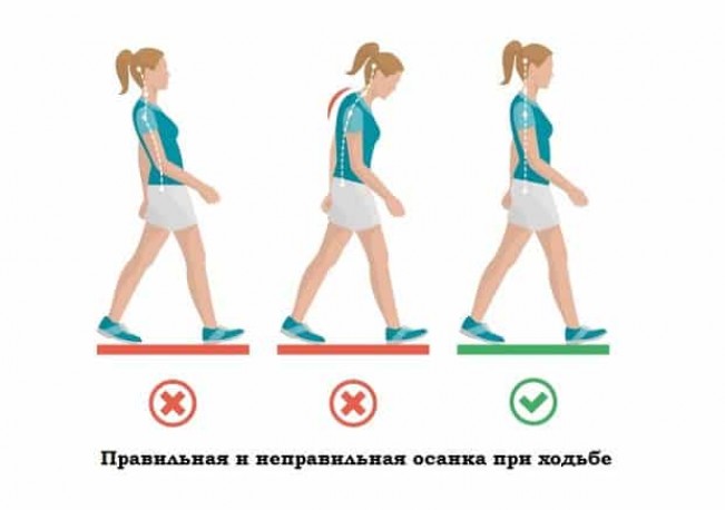 Правила эффективной ходьбы