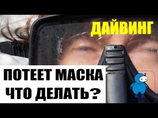 Дополнительные материалы