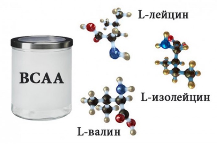 Что такое аминокислоты?