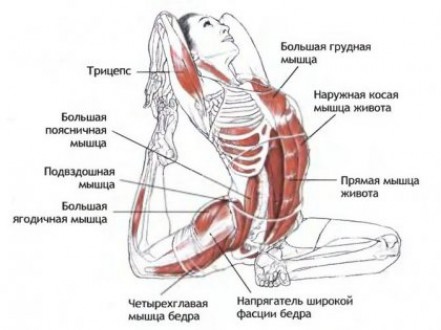Польза йоги для здоровья позвоночника и спины