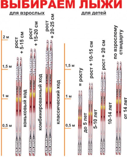 Какие лыжи бывают